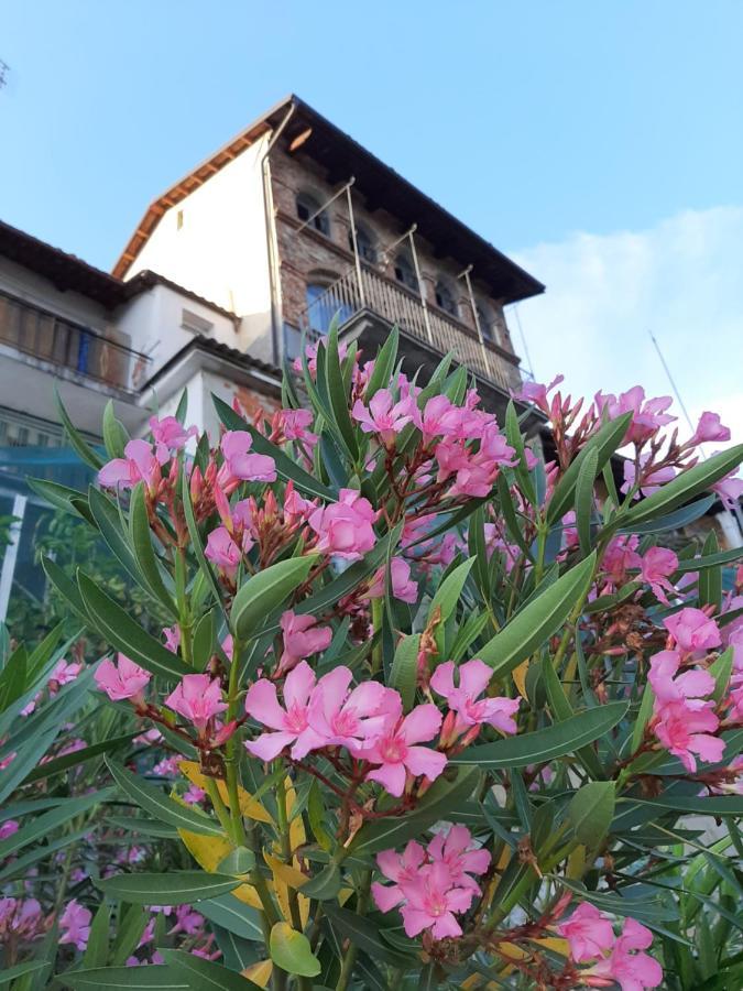 Le Case Di Angelina - Langhe Loft & Suites Farigliano Exterior foto